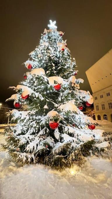 Comfort Apartment In Narva City Center Exterior foto